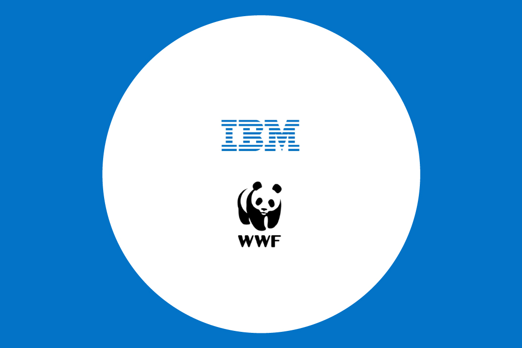 IBM and WWF Join Forces to Protect Elephants with AI